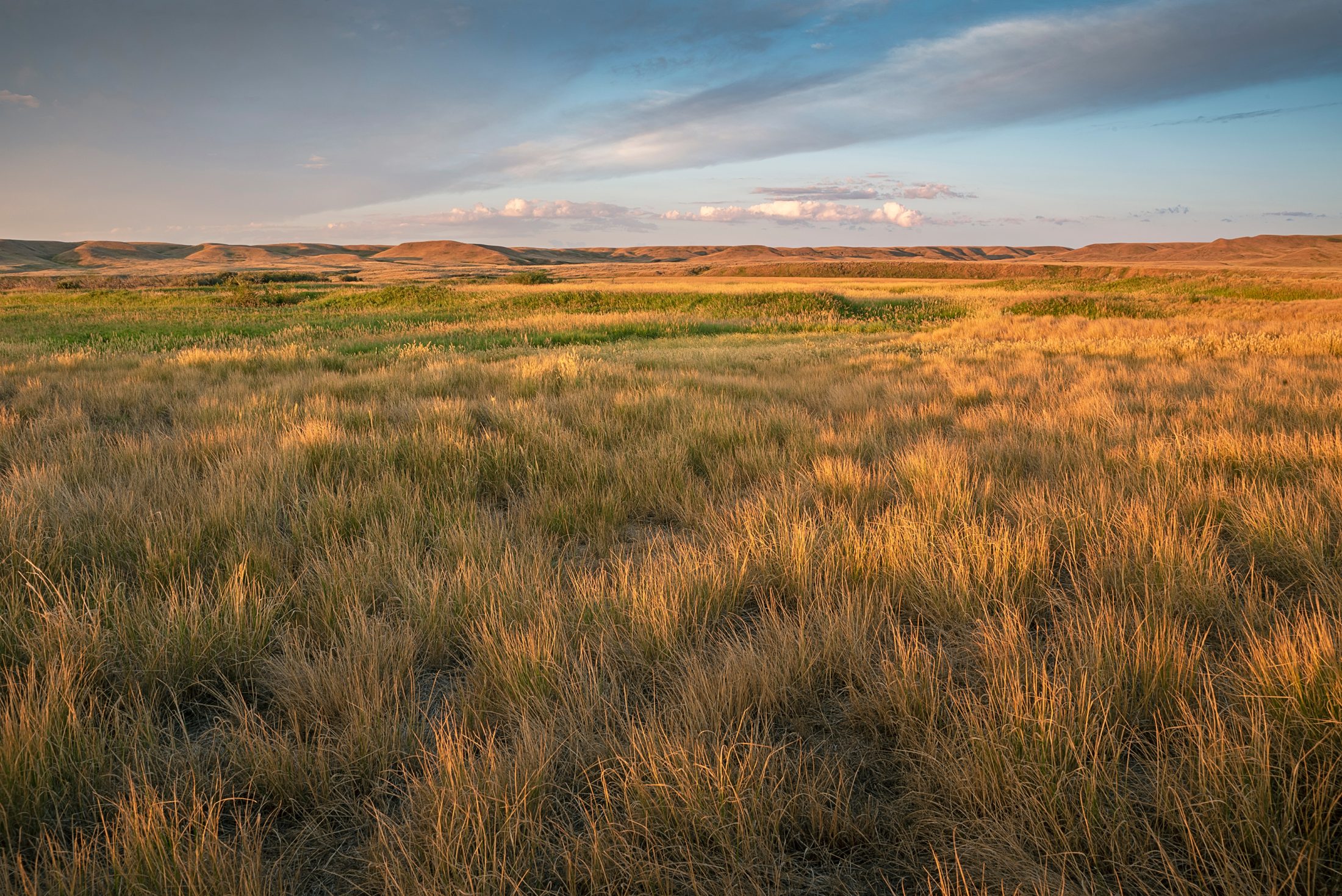 sandhills energy contact page grasslands