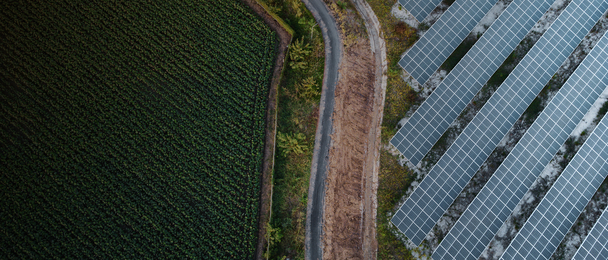 Burt County Solar