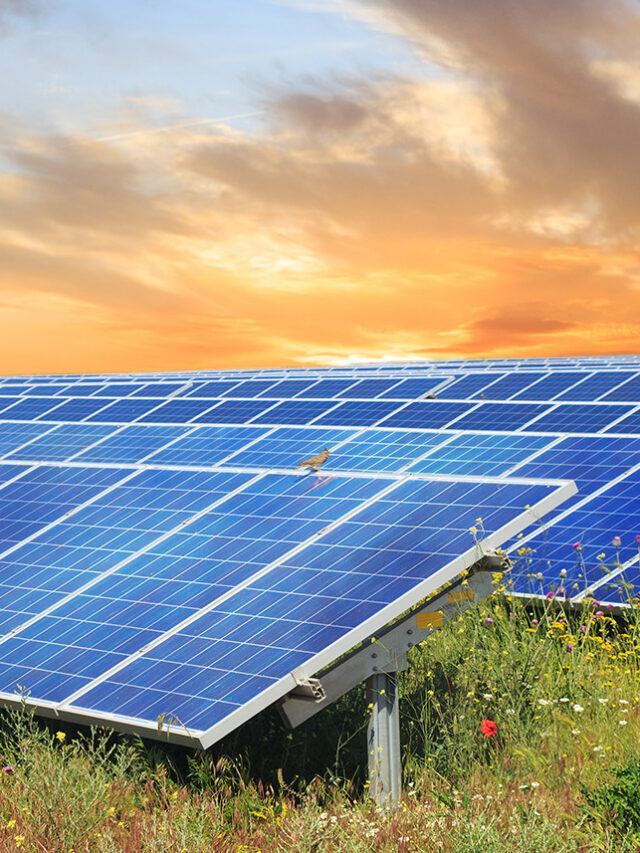Sandhills Energy, Butler County Project